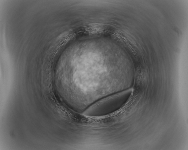 X0000115591345200911101230