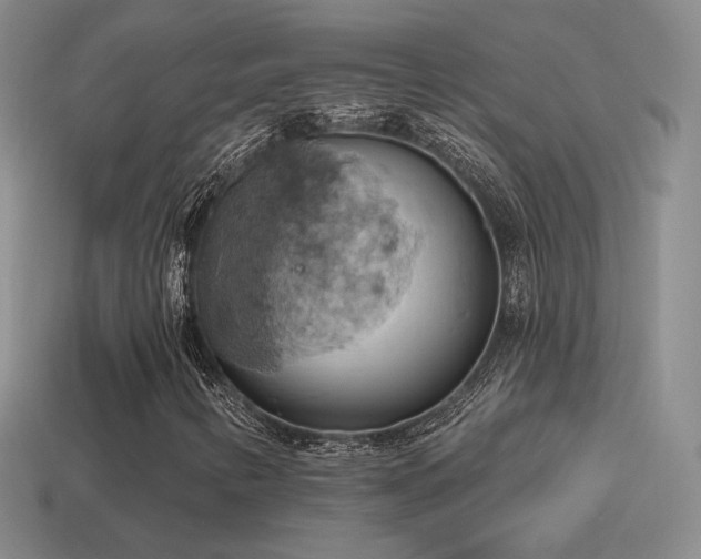 X0000115591346200911101230