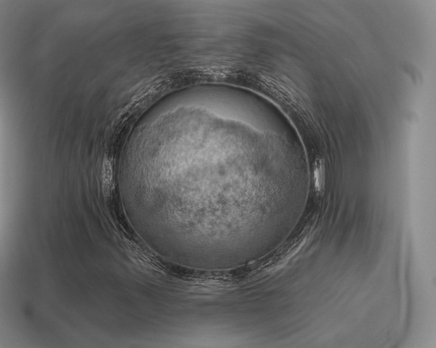 X0000115591347200911101230