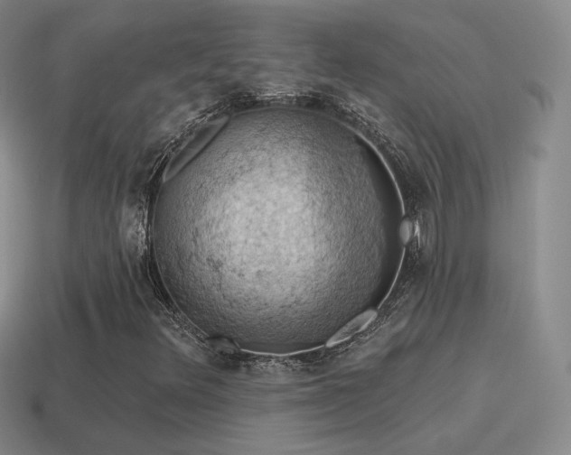 X0000115591348200911101230