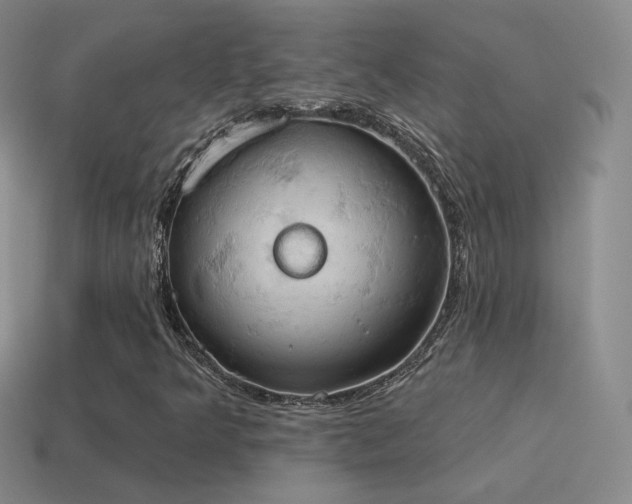 X0000115591349200911101230