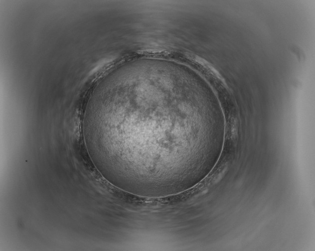 X0000115591350200911101230