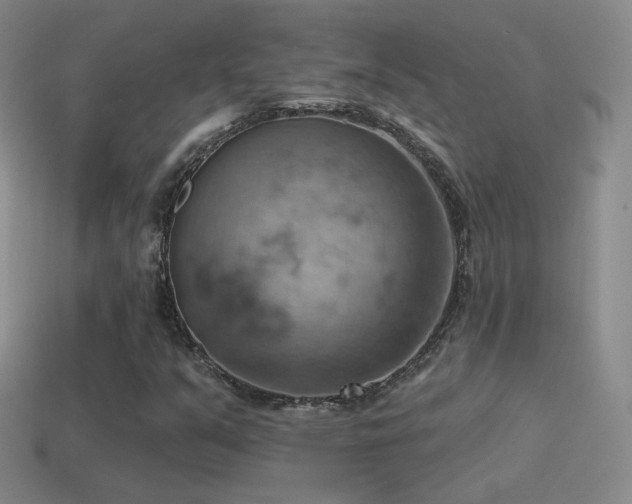 X0000115591351200911101230