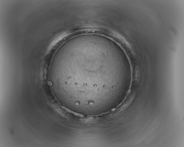 X0000115591352200911101230