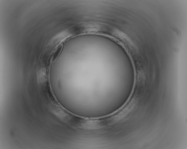 X0000115591353200911101230