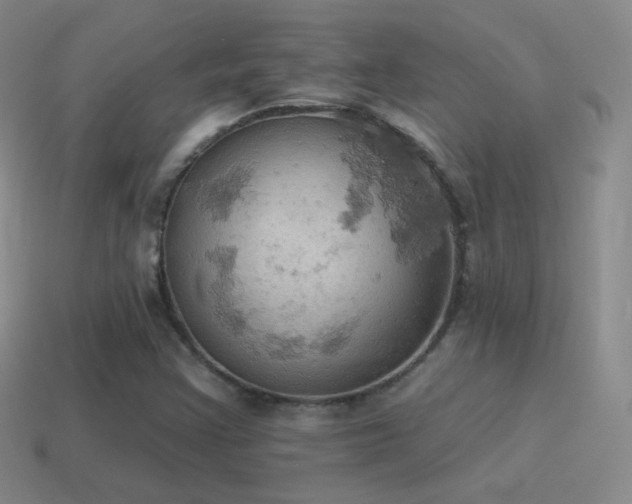 X0000115591355200911101230