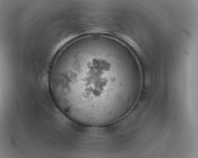 X0000115591356200911101230