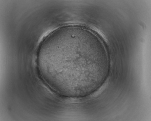 X0000115591357200911101230