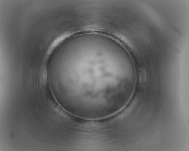 X0000115591358200911101230