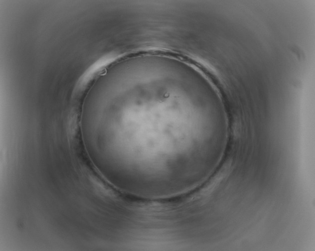 X0000115591359200911101230