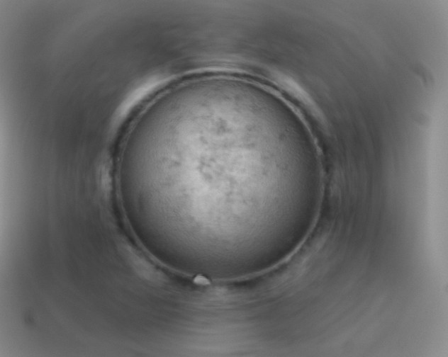 X0000115591360200911101230