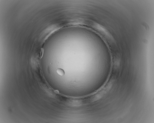 X0000115591361200911101230