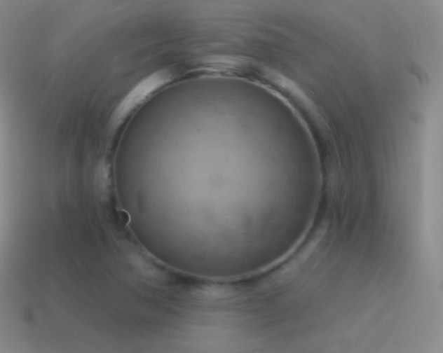 X0000115591362200911101230