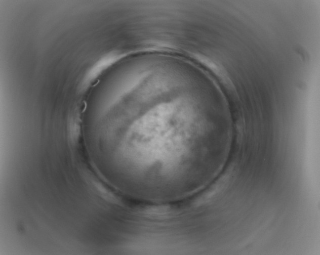 X0000115591363200911101230