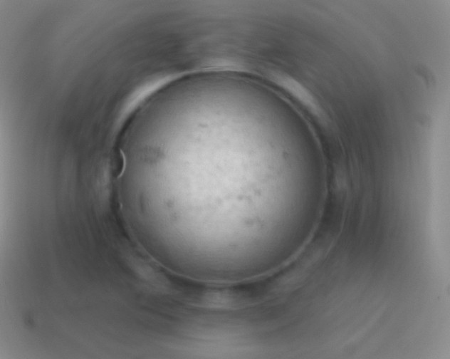 X0000115591364200911101230