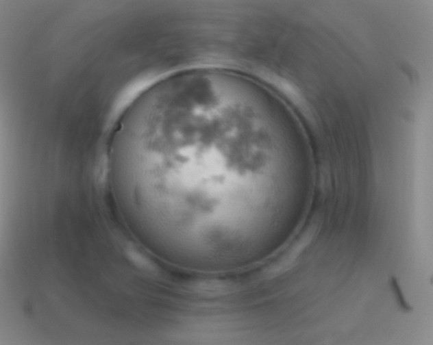 X0000115591366200911101230