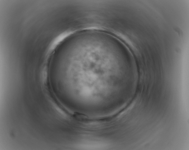 X0000115591367200911101230