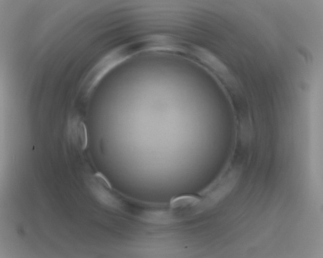 X0000115591369200911101230