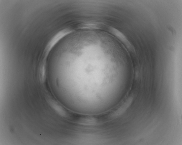 X0000115591370200911101230