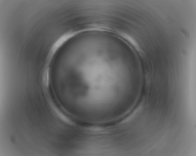 X0000115591371200911101230