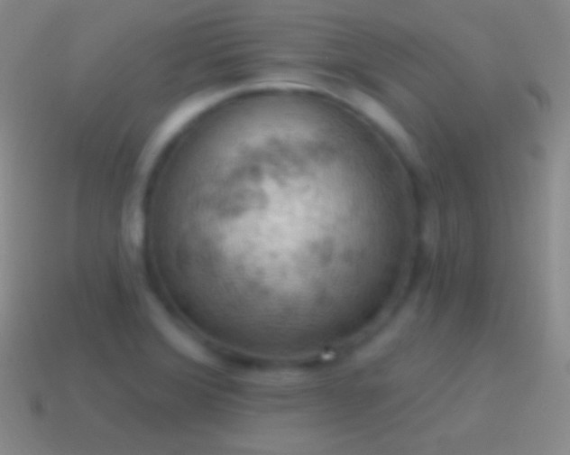 X0000115591372200911101230