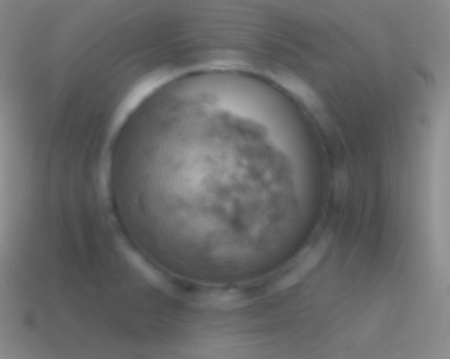 X0000115591374200911101230