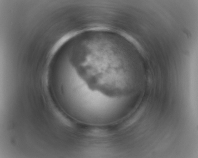 X0000115591375200911101230