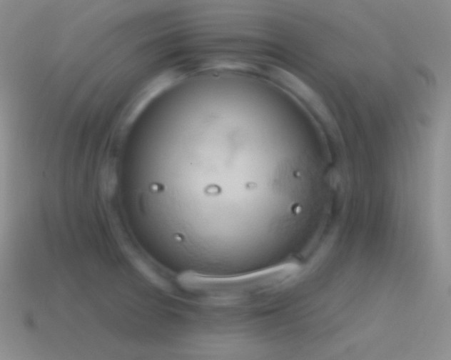 X0000115591377200911101230