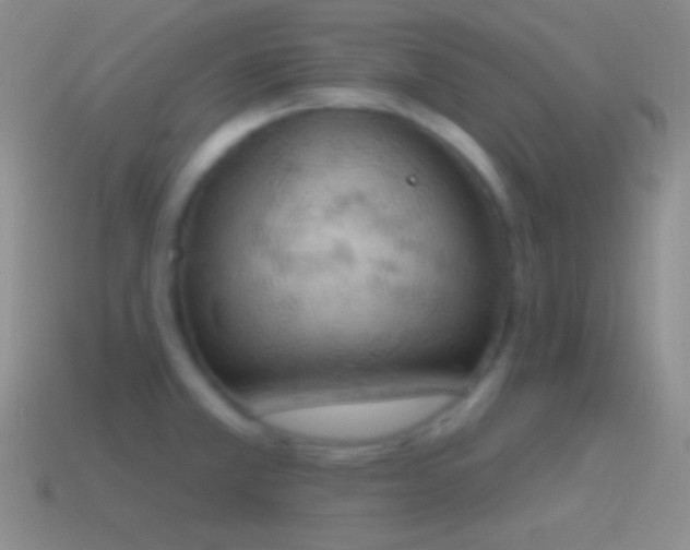 X0000115591381200911101230