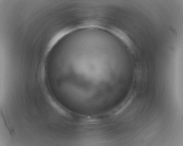 X0000115591382200911101230