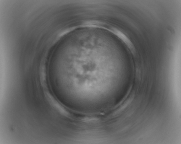 X0000115591384200911101230