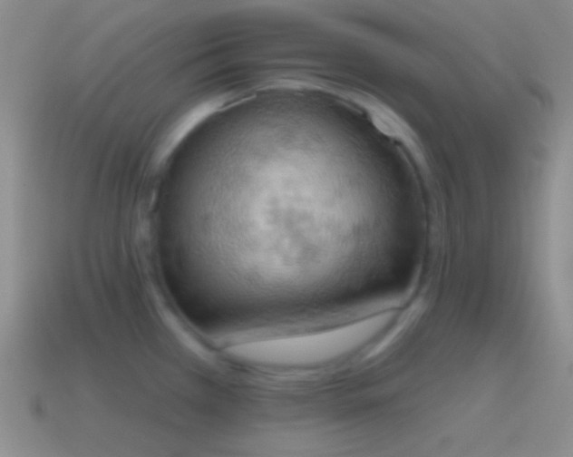 X0000115591385200911101230