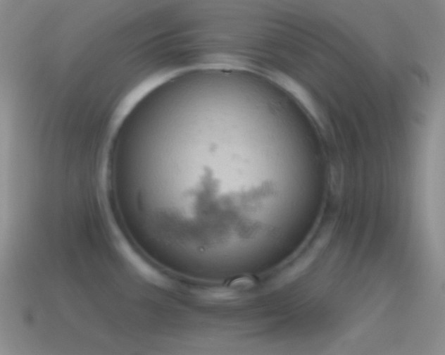 X0000115591387200911101230