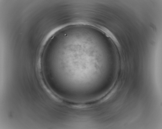 X0000115591388200911101229