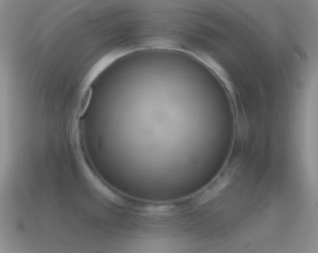 X0000115591389200911101229