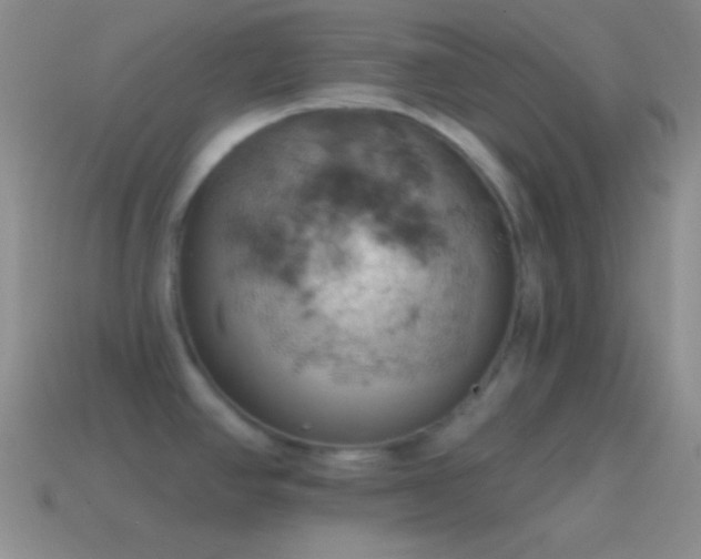 X0000115591390200911101229