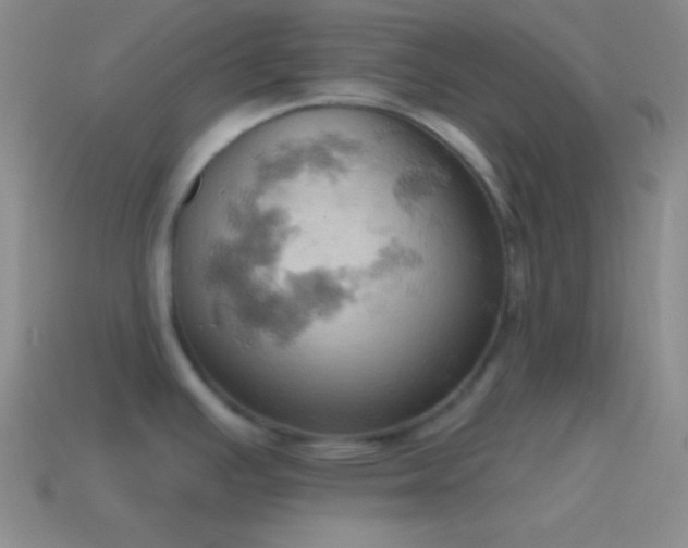 X0000115591391200911101229