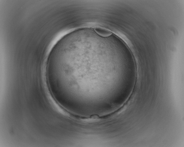 X0000115591392200911101229