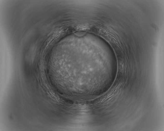 X0000115591393200911101229