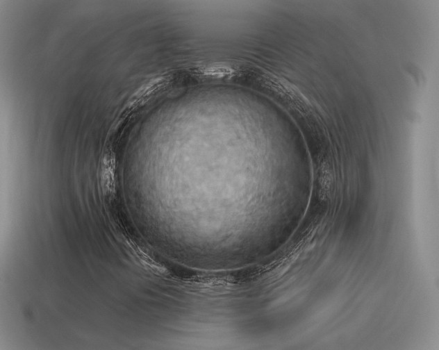 X0000115591394200911101229