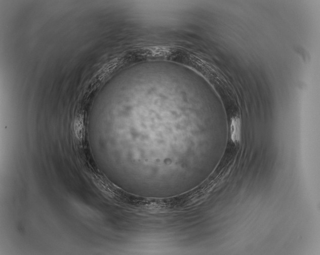 X0000115591395200911101229