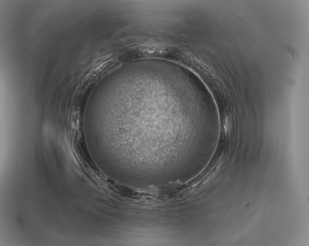 X0000115591396200911101229