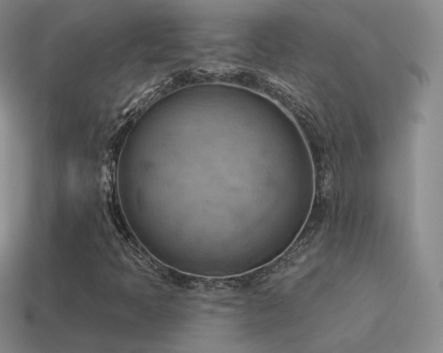 X0000115591397200911101229