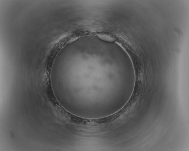 X0000115591398200911101229