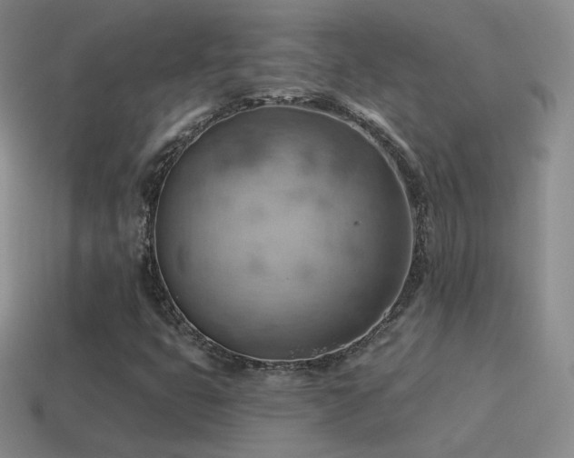 X0000115591399200911101229