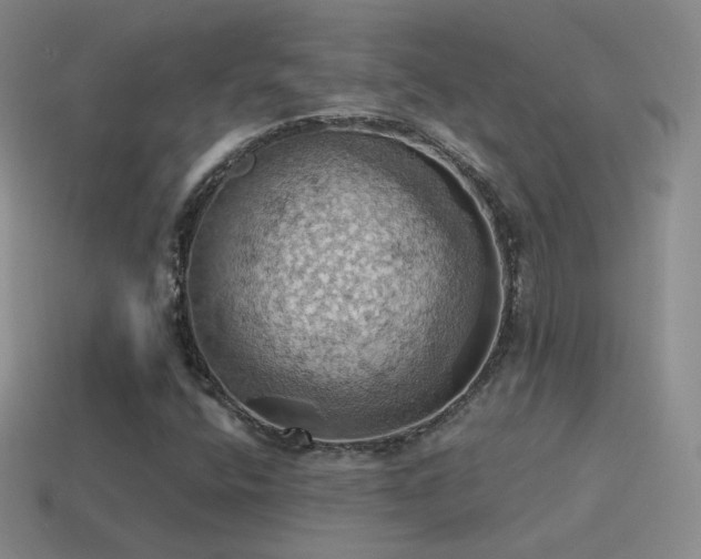 X0000115591400200911101229