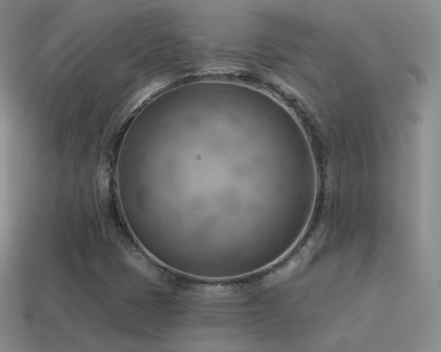 X0000115591401200911101229