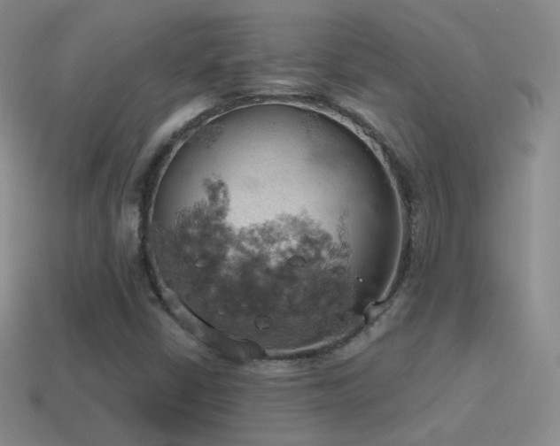 X0000115591402200911101229