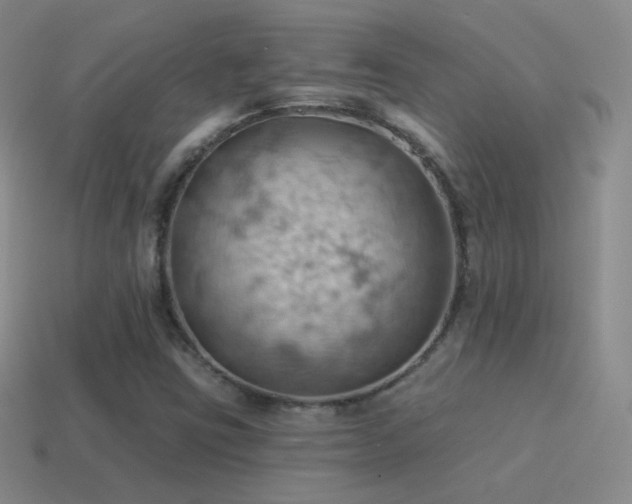 X0000115591403200911101229