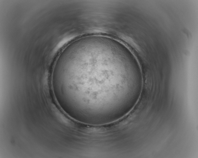 X0000115591404200911101229